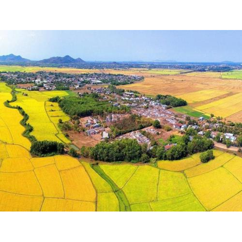 Huyện Long Đất | Phát Triển Giao Thông Làm Đòn Bẩy Phát Triển Kinh Tế